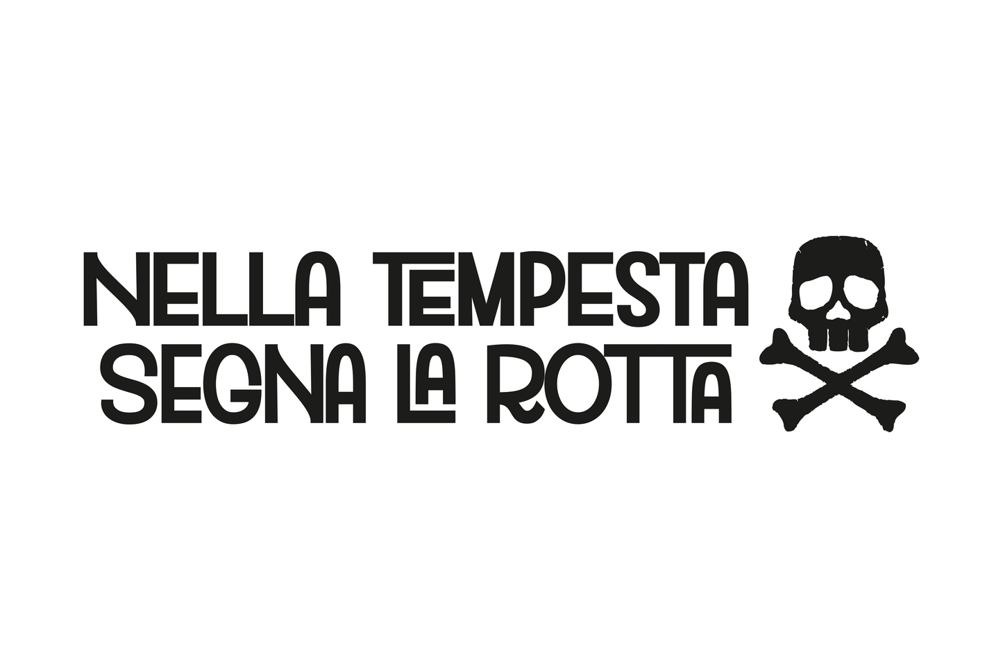Tshirt_ NeverEstablished part2